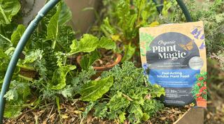 Boost Your Garden: Organic Plant Magic Review - Growing Wild Gardening