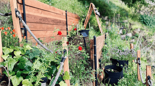 Mastering Sloped Garden Spaces: Expert Tips for Hillside Gardening Success - Growing Wild Gardening