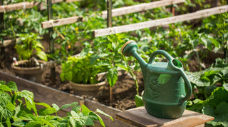 Thrifty Gardening: Start Your Garden on a Budget - Growing Wild Gardening