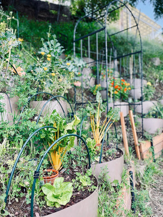 Dirt locker garden