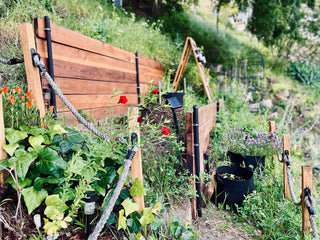 terrace garden