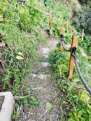 garden path 