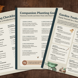 Fall Planning Essential Guide for a Vibrant Autumn Garden - Growing Wild Gardening