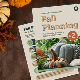 Fall Planning Essential Guide for a Vibrant Autumn Garden - Growing Wild Gardening