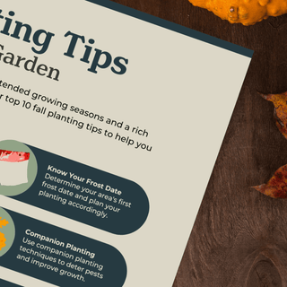 Fall Planning Essential Guide for a Vibrant Autumn Garden - Growing Wild Gardening