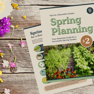 Spring Planning Essential Guide for a Thriving Garden - Growing Wild Gardening